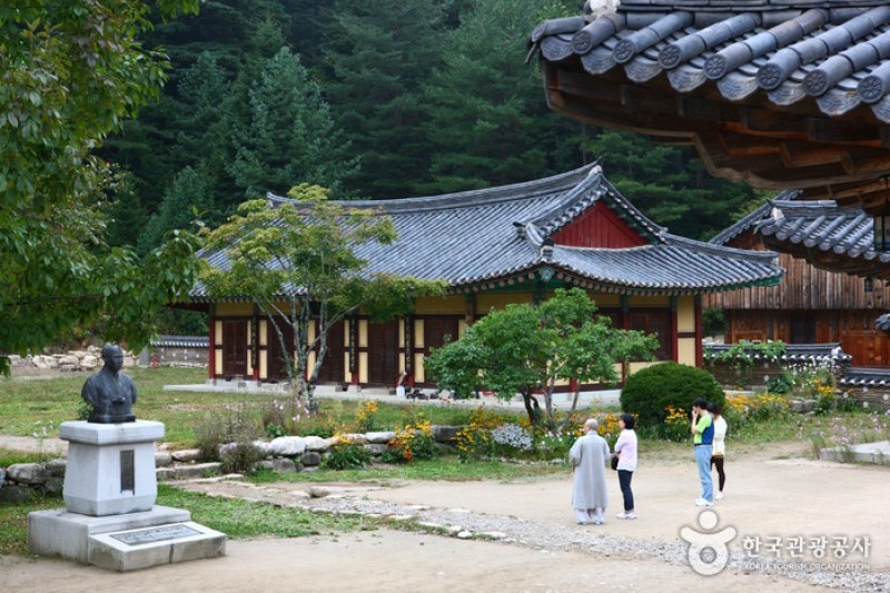 Baekdamsa Temple  (11/20)