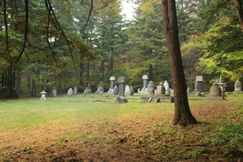 Woljeongsa Temple  (1/51)