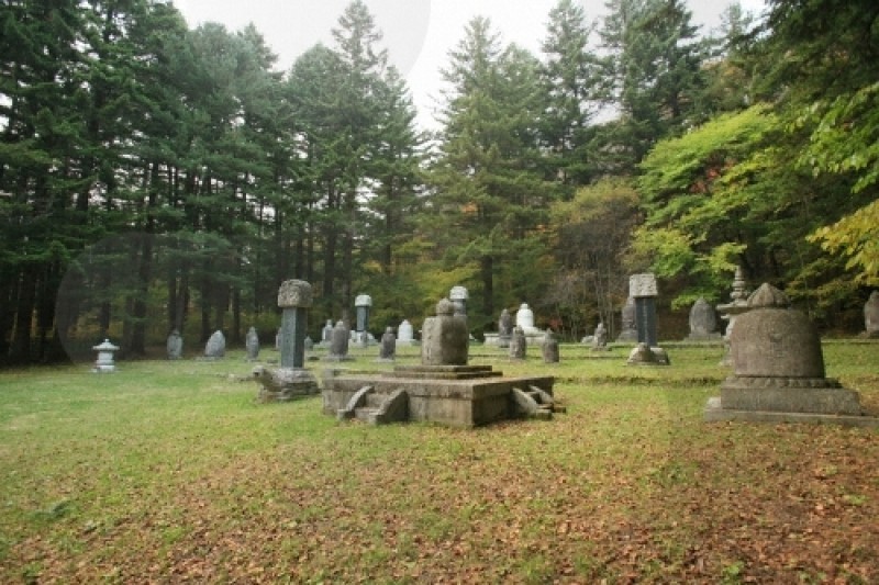 Woljeongsa Temple  (3/51)