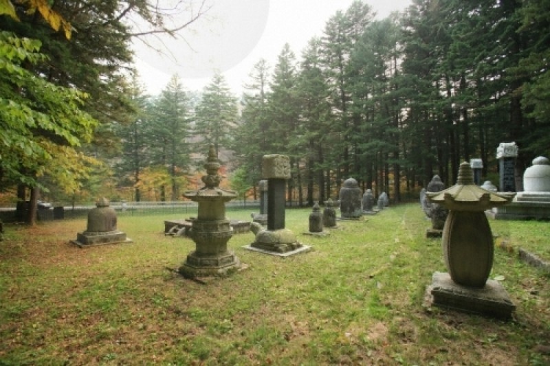 Woljeongsa Temple  (8/51)