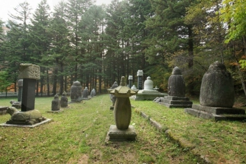 Woljeongsa Temple  (9/51)