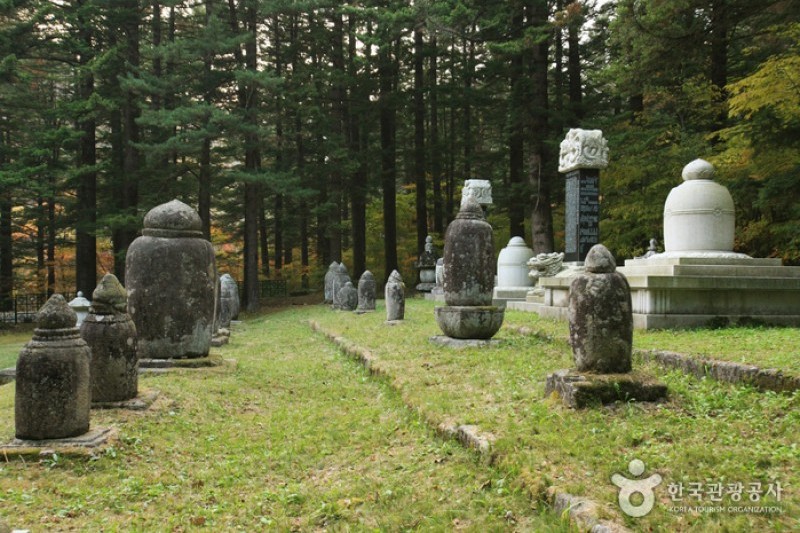 Woljeongsa Temple  (10/51)