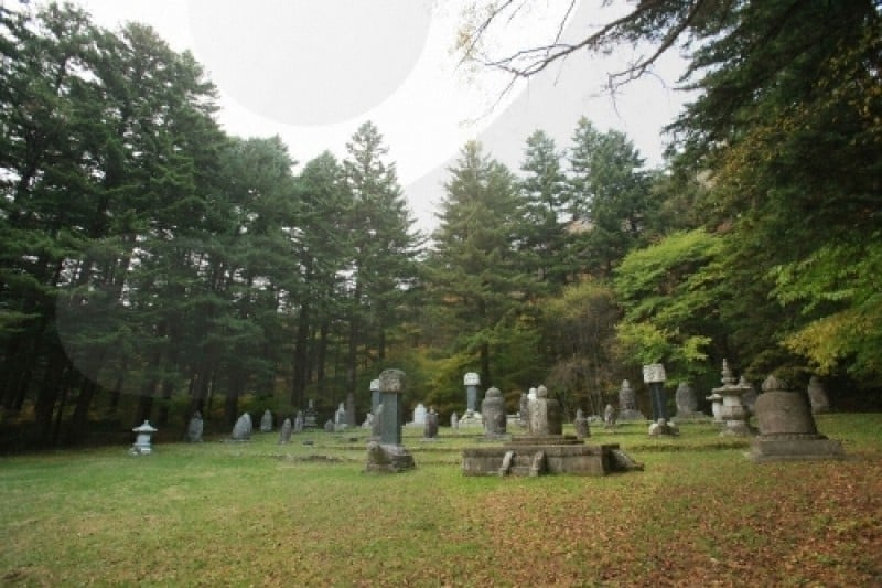 Woljeongsa Temple  (17/51)