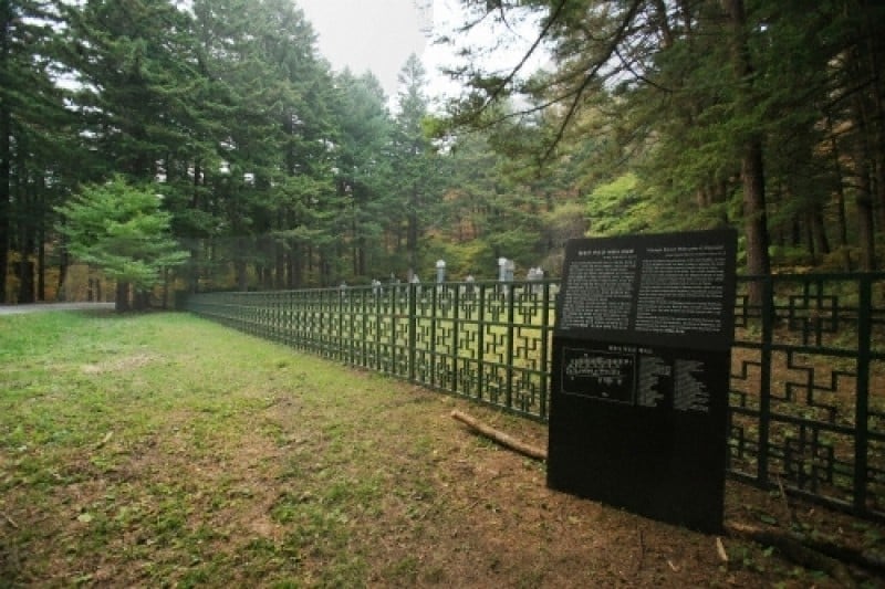 Woljeongsa Temple  (18/51)