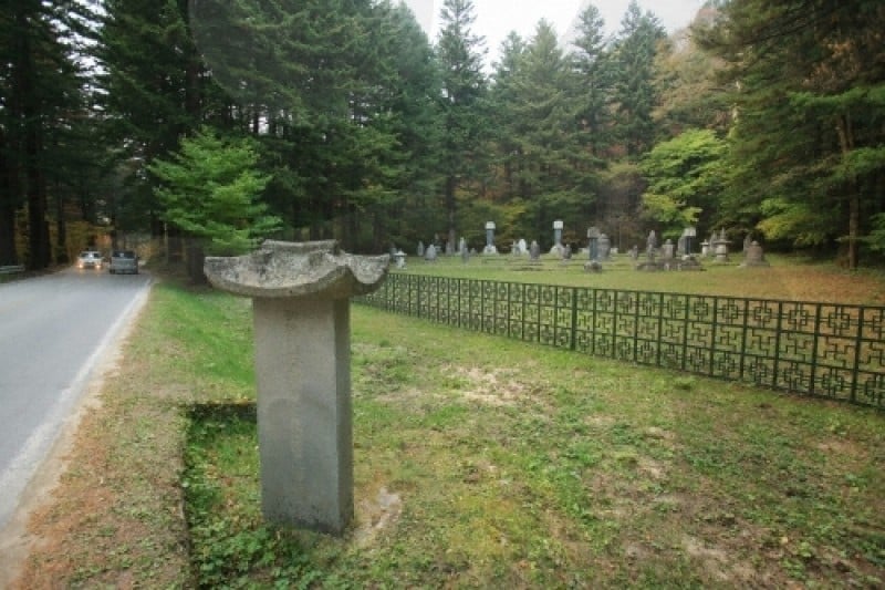 Woljeongsa Temple  (19/51)