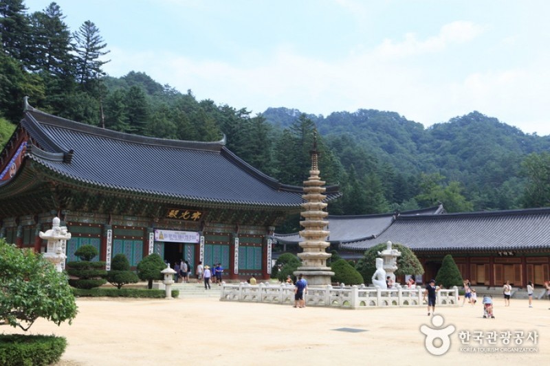Woljeongsa Temple  (31/51)