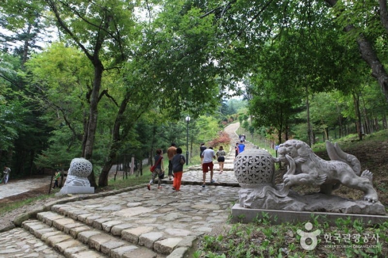 Woljeongsa Temple  (33/51)