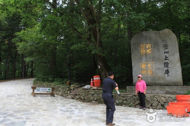 Woljeongsa Temple  (34/51)