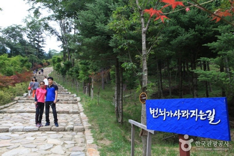 Woljeongsa Temple  (36/51)