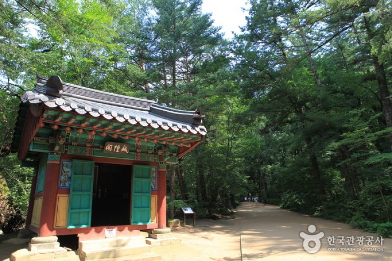 Woljeongsa Temple  (40/51)