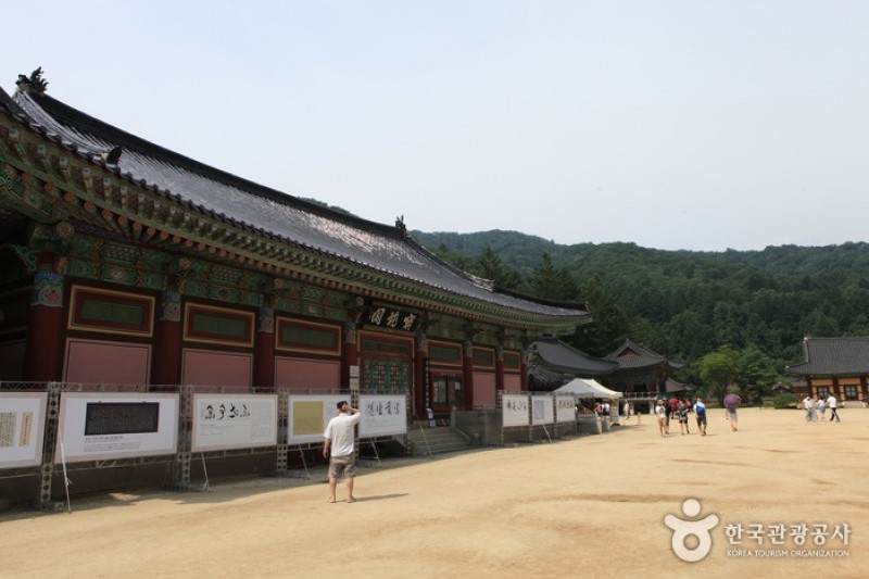 Woljeongsa Temple  (41/51)