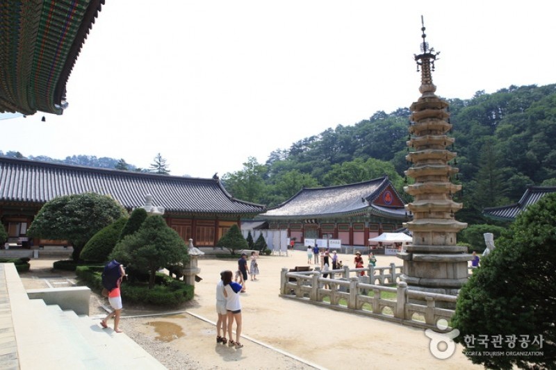 Woljeongsa Temple  (42/51)