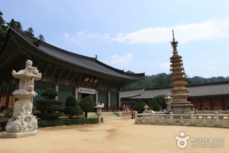 Woljeongsa Temple  (45/51)