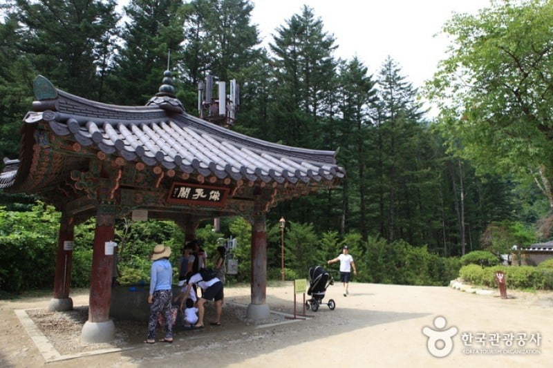 Woljeongsa Temple  (46/51)