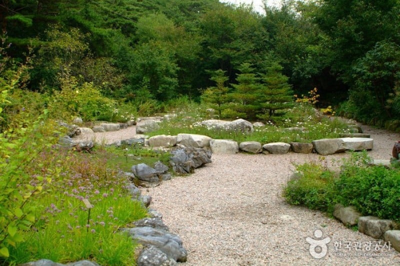 Korea Botanic Garden  (1/22)