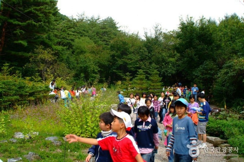 Korea Botanic Garden  (2/22)