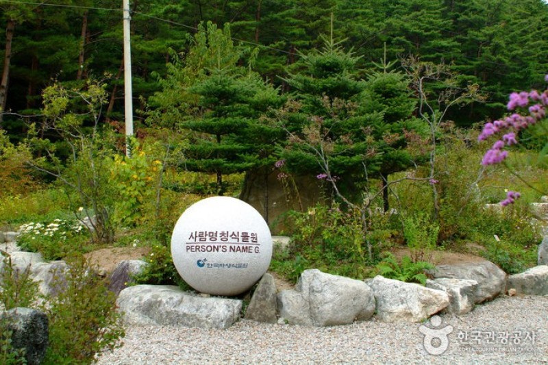 Korea Botanic Garden  (5/22)