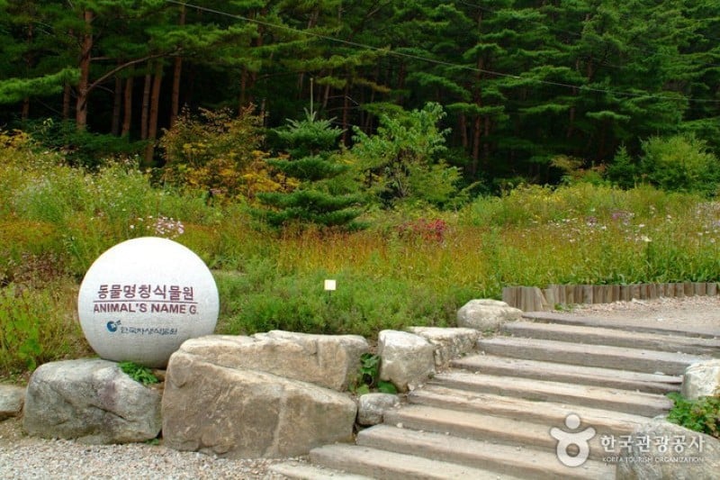 Korea Botanic Garden  (6/22)