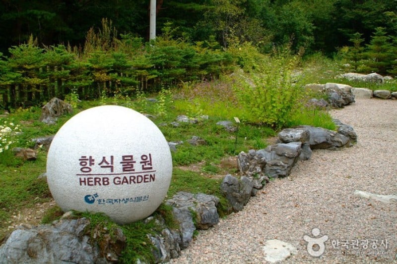 Korea Botanic Garden  (7/22)