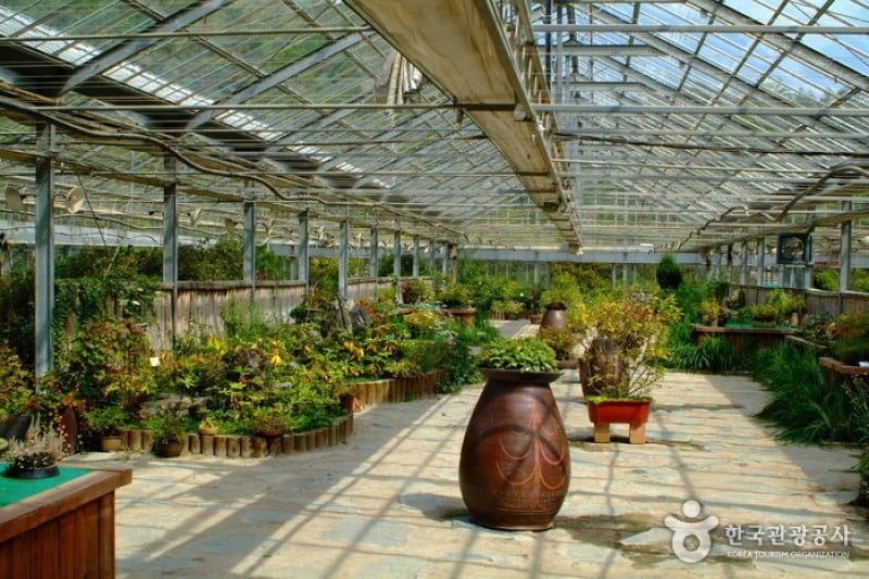 Korea Botanic Garden  (19/22)