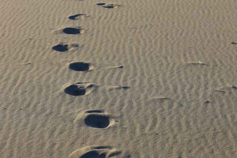 Hajodae Beach  (7/12)