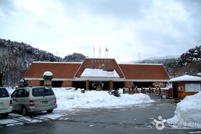 Daegwallyeong Museum  (5/19)