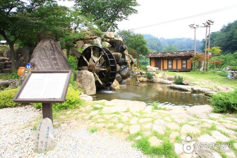 Daegwallyeong Museum  (9/19)