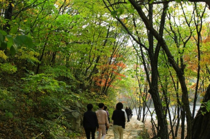 Osaek Jujeongol  (2/31)