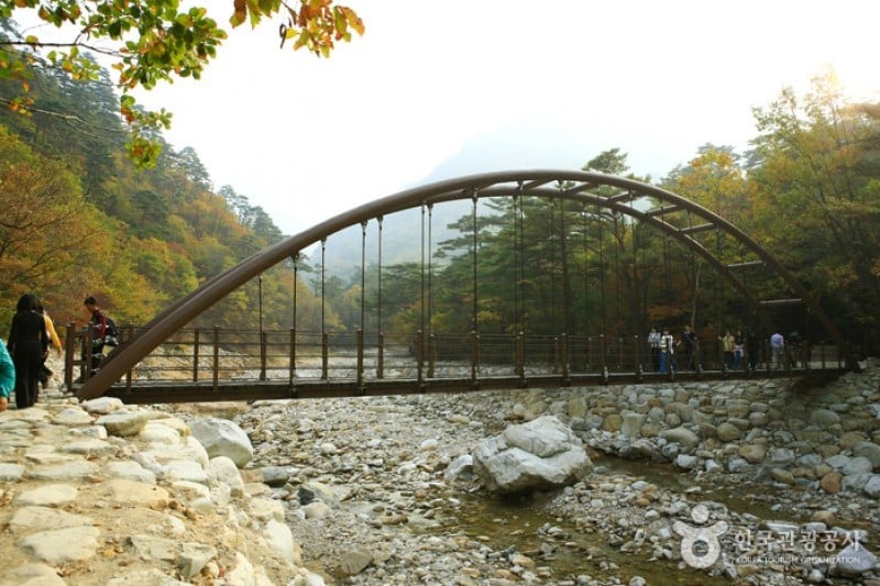 Osaek Jujeongol  (3/31)