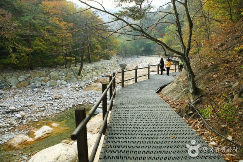 Osaek Jujeongol  (4/31)
