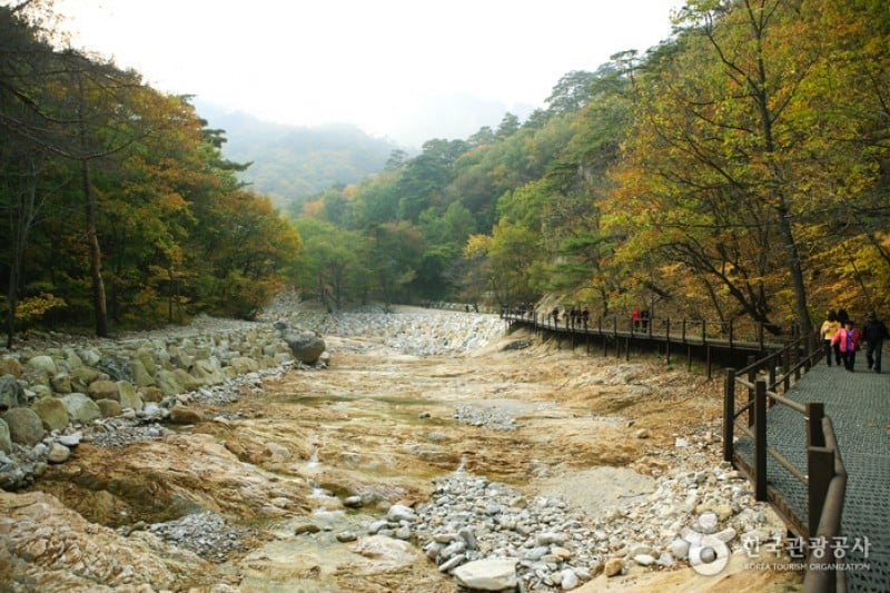 Osaek Jujeongol  (5/31)