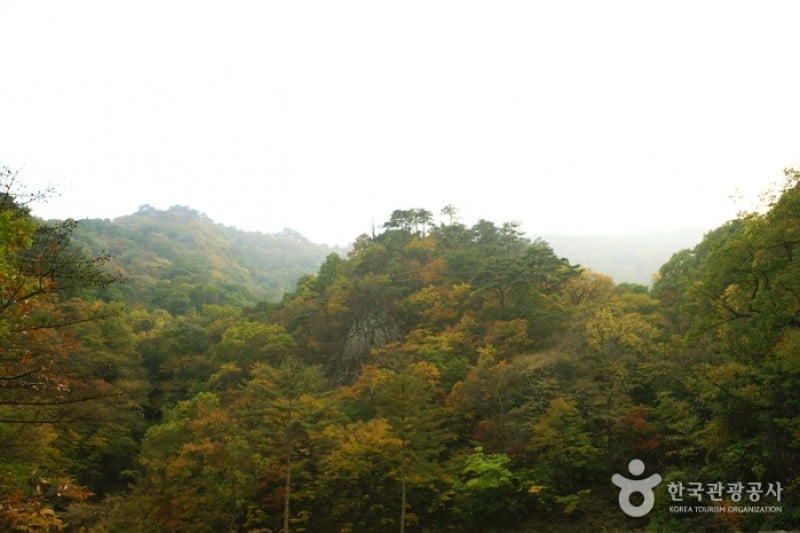 Osaek Jujeongol  (7/31)