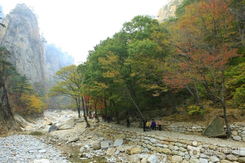 Osaek Jujeongol  (10/31)