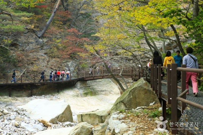 Osaek Jujeongol  (11/31)