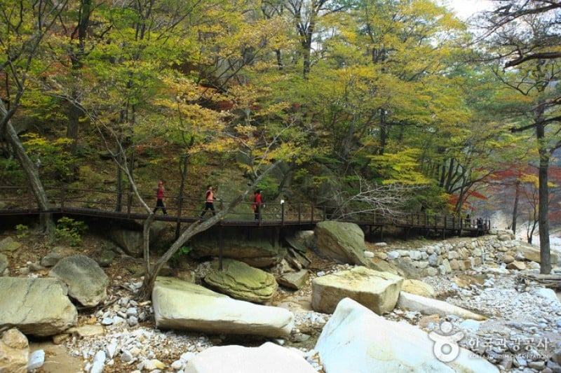 Osaek Jujeongol  (13/31)