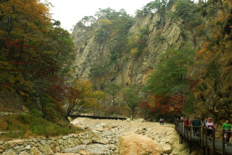 Osaek Jujeongol  (14/31)