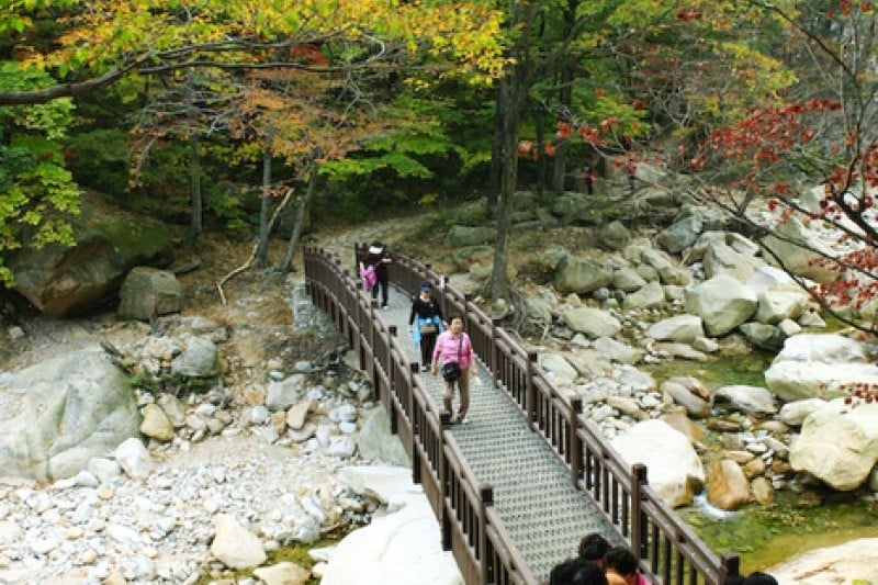 Osaek Jujeongol  (17/31)