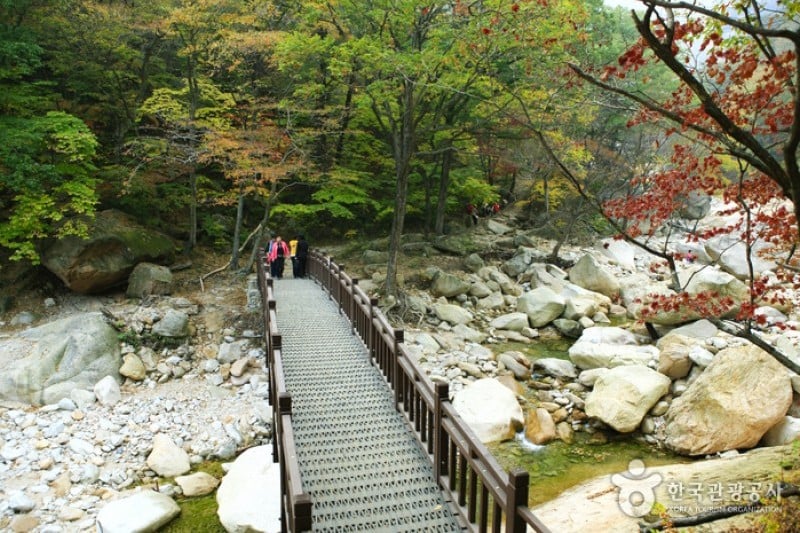 Osaek Jujeongol  (18/31)