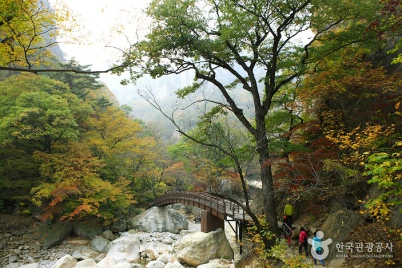 Osaek Jujeongol  (20/31)