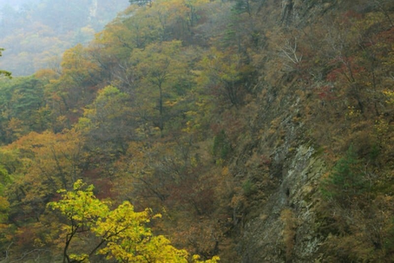 Osaek Jujeongol  (22/31)