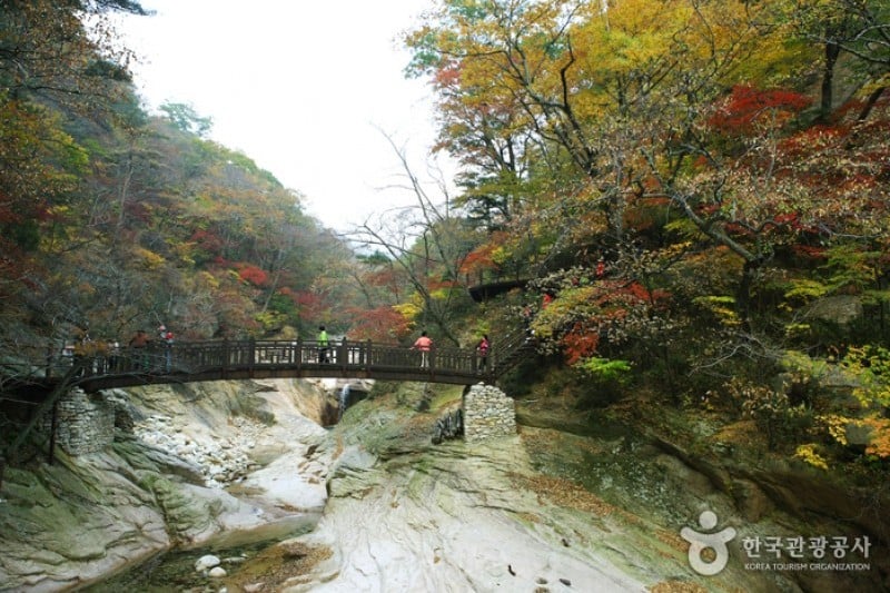 Osaek Jujeongol  (25/31)