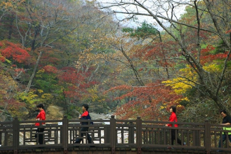 Osaek Jujeongol  (26/31)
