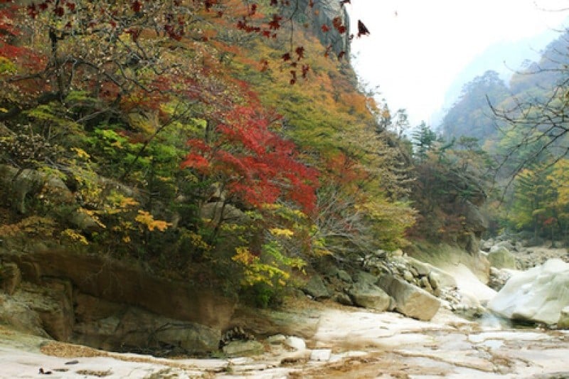 Osaek Jujeongol  (27/31)