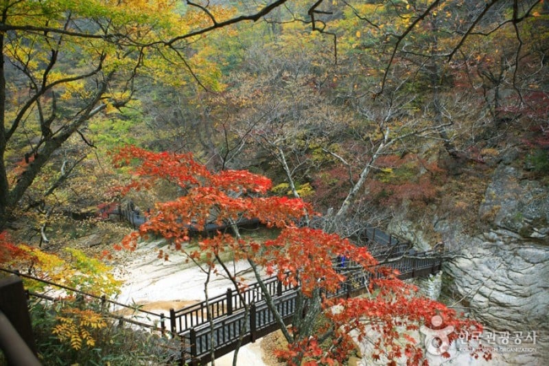 Osaek Jujeongol  (28/31)