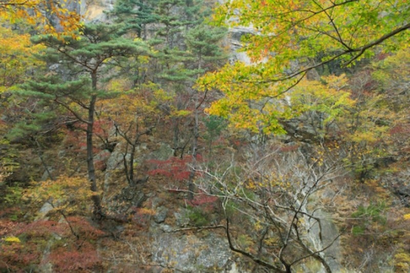 Osaek Jujeongol  (29/31)