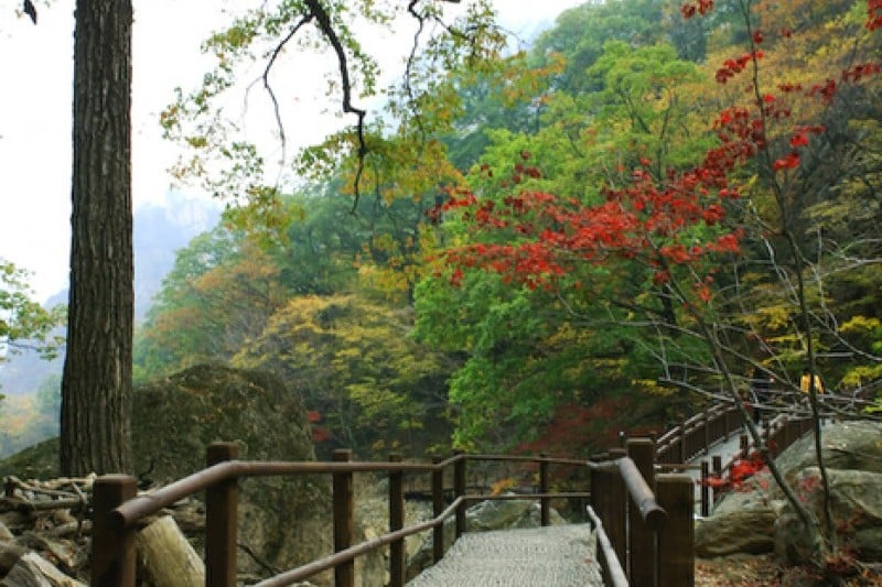 Osaek Jujeongol  (30/31)