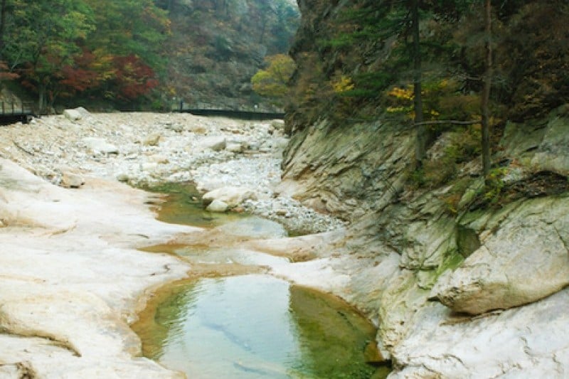 Osaek Jujeongol  (31/31)