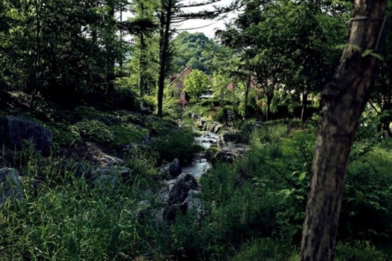 Jade Garden Natural Arboretum  (7/11)