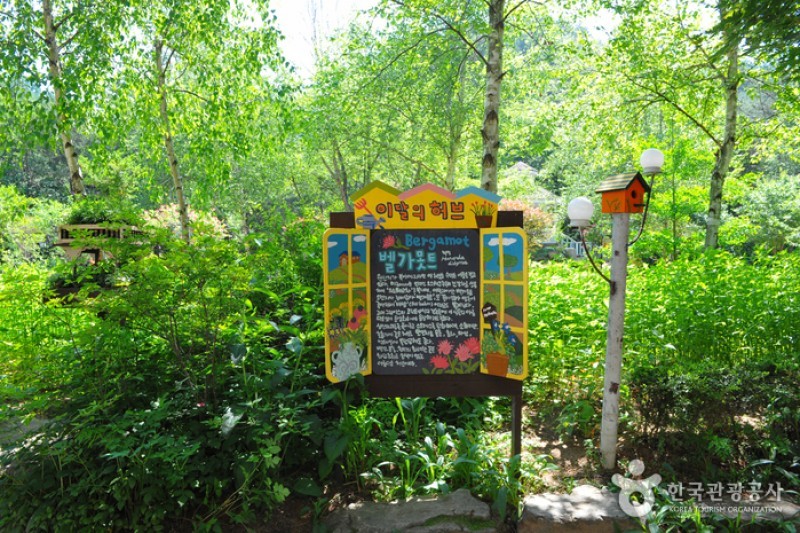 Herbnara Farm  (2/11)
