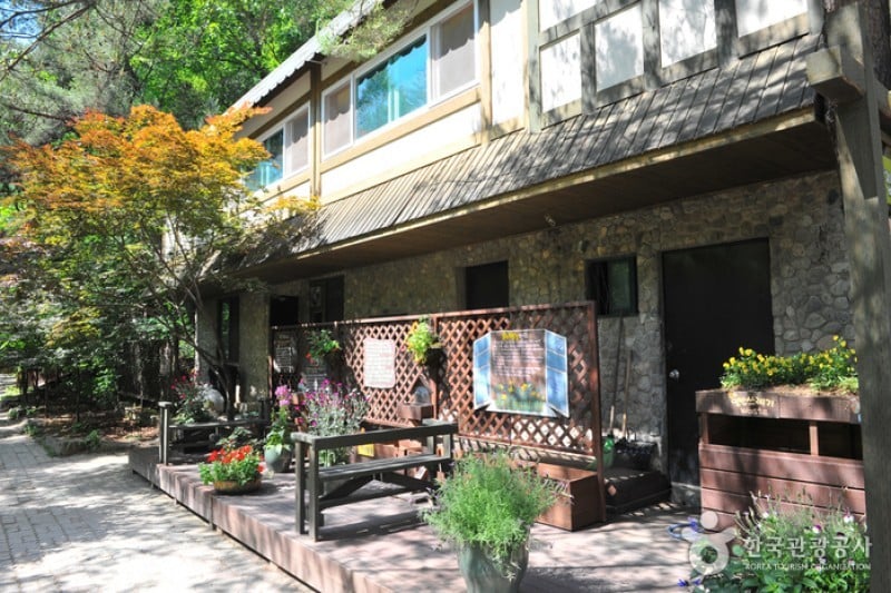 Herbnara Farm  (4/11)